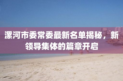 漯河市委常委最新名单揭秘，新领导集体的篇章开启