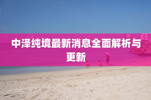 中泽纯境最新消息全面解析与更新