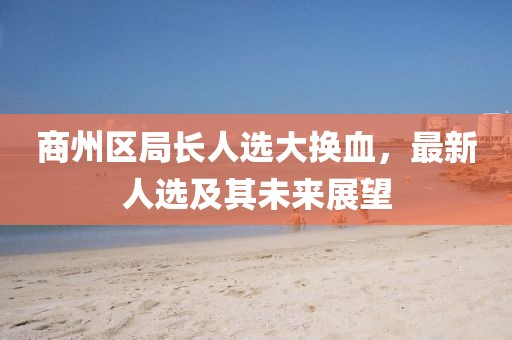 商州区局长人选大换血，最新人选及其未来展望