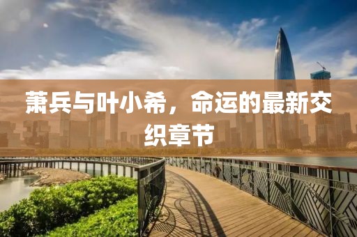 萧兵与叶小希，命运的最新交织章节