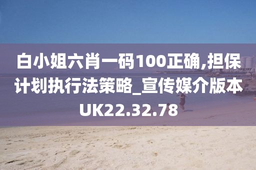 白小姐六肖一码100正确,担保计划执行法策略_宣传媒介版本UK22.32.78