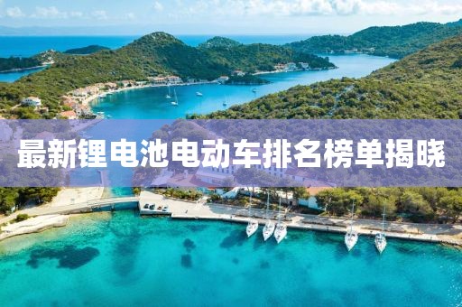 最新锂电池电动车排名榜单揭晓