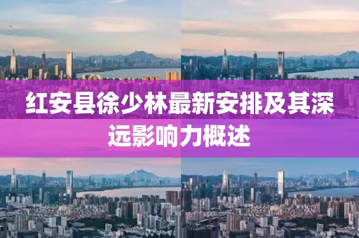 红安县徐少林最新安排及其深远影响力概述