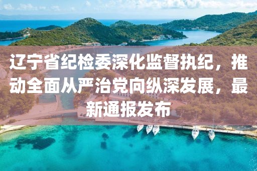 辽宁省纪检委深化监督执纪，推动全面从严治党向纵深发展，最新通报发布