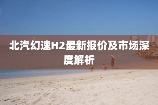 北汽幻速H2最新报价及市场深度解析