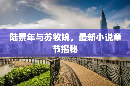 陆景年与苏牧婉，最新小说章节揭秘