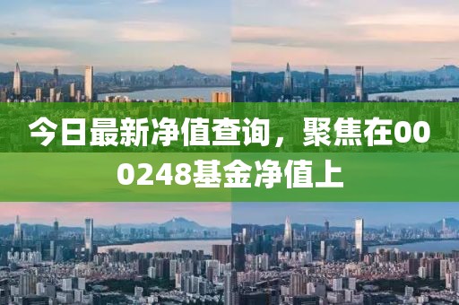 今日最新净值查询，聚焦在000248基金净值上