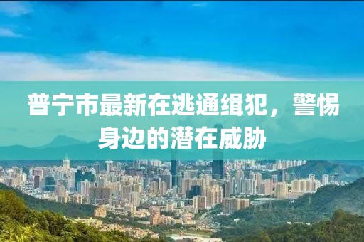 普宁市最新在逃通缉犯，警惕身边的潜在威胁