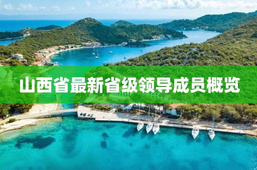 山西省最新省级领导成员概览