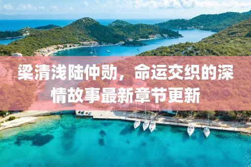 梁清浅陆仲勋，命运交织的深情故事最新章节更新