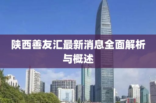 陕西善友汇最新消息全面解析与概述