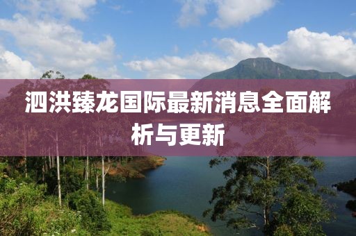 泗洪臻龙国际最新消息全面解析与更新