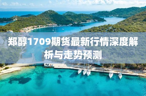 郑醇1709期货最新行情深度解析与走势预测