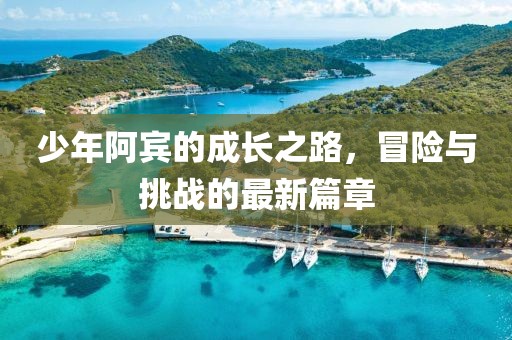 少年阿宾的成长之路，冒险与挑战的最新篇章