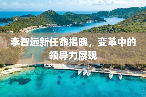 李智远新任命揭晓，变革中的领导力展现