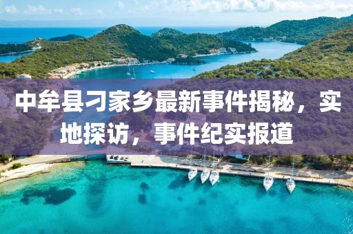 中牟县刁家乡最新事件揭秘，实地探访，事件纪实报道