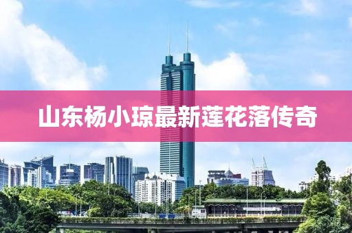 山东杨小琼最新莲花落传奇