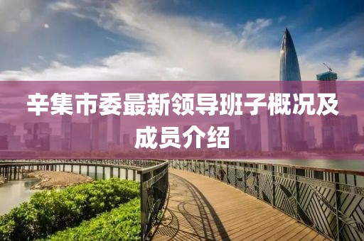 辛集市委最新领导班子概况及成员介绍
