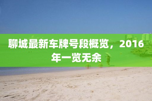 聊城最新车牌号段概览，2016年一览无余