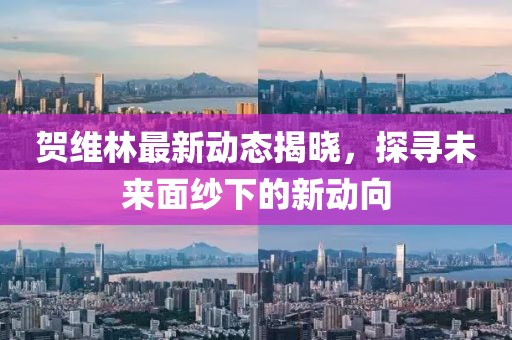 贺维林最新动态揭晓，探寻未来面纱下的新动向