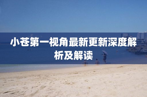 小苍第一视角最新更新深度解析及解读