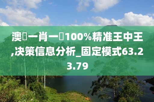 澳門一肖一碼100%精准王中王,决策信息分析_固定模式63.23.79