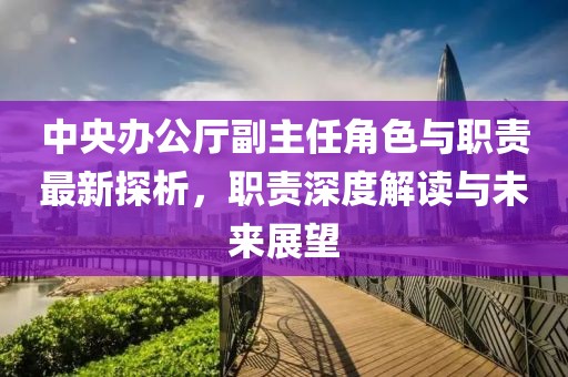 中央办公厅副主任角色与职责最新探析，职责深度解读与未来展望