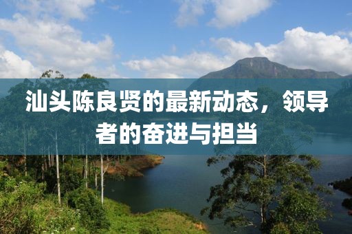汕头陈良贤的最新动态，领导者的奋进与担当