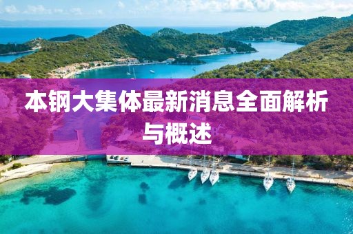 本钢大集体最新消息全面解析与概述