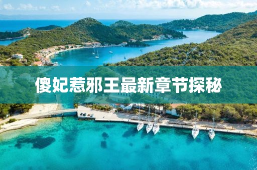 傻妃惹邪王最新章节探秘