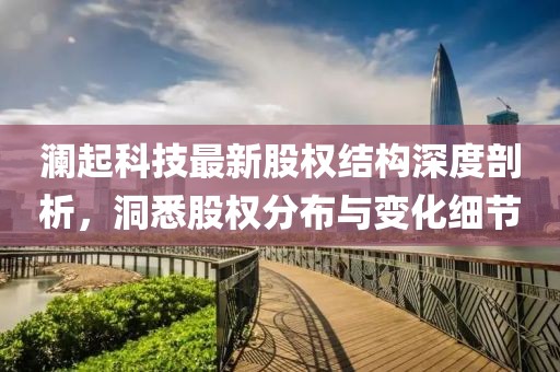 澜起科技最新股权结构深度剖析，洞悉股权分布与变化细节