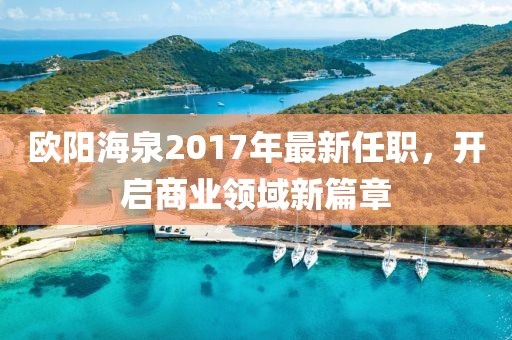欧阳海泉2017年最新任职，开启商业领域新篇章