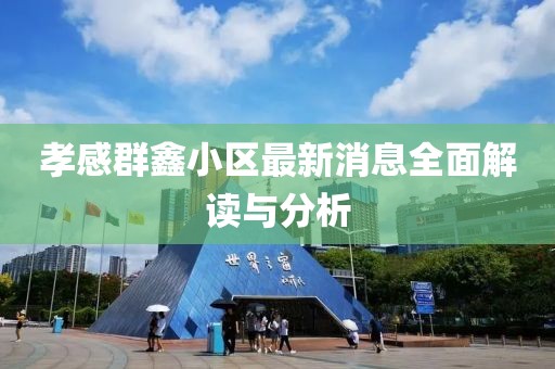 孝感群鑫小区最新消息全面解读与分析