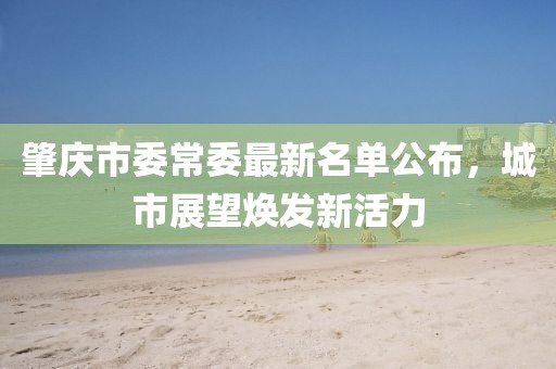 肇庆市委常委最新名单公布，城市展望焕发新活力