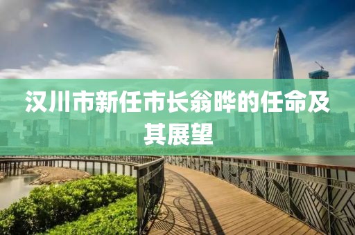 汉川市新任市长翁晔的任命及其展望