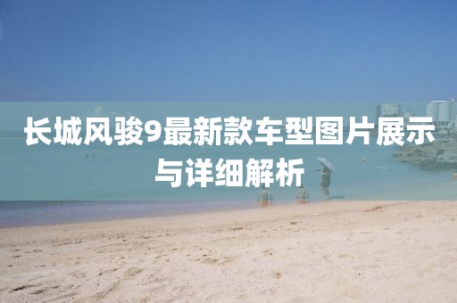 长城风骏9最新款车型图片展示与详细解析