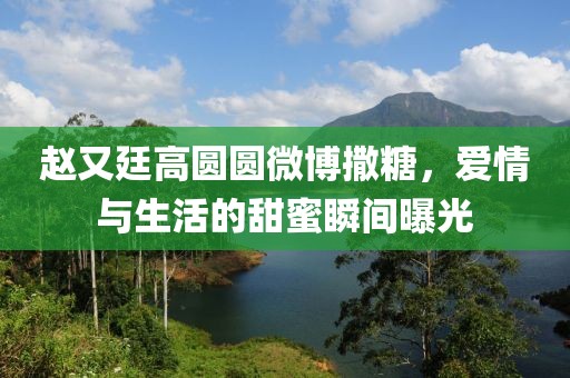 赵又廷高圆圆微博撒糖，爱情与生活的甜蜜瞬间曝光