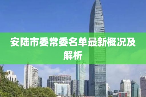 安陆市委常委名单最新概况及解析