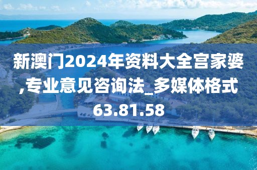 新澳门2024年资料大全宫家婆,专业意见咨询法_多媒体格式63.81.58