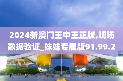 2024新澳门王中王正版,现场数据验证_妹妹专属版91.99.20