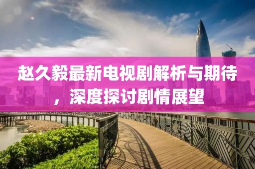 赵久毅最新电视剧解析与期待，深度探讨剧情展望