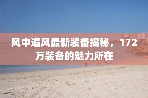 风中追风最新装备揭秘，172万装备的魅力所在