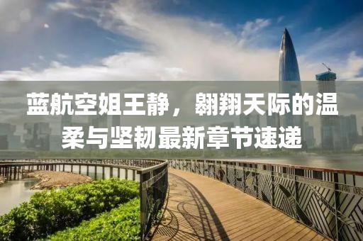 蓝航空姐王静，翱翔天际的温柔与坚韧最新章节速递