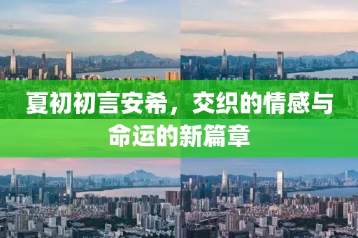 夏初初言安希，交织的情感与命运的新篇章