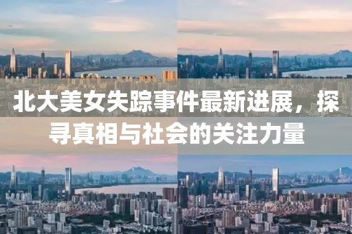 北大美女失踪事件最新进展，探寻真相与社会的关注力量