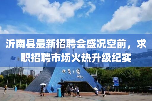 沂南县最新招聘会盛况空前，求职招聘市场火热升级纪实