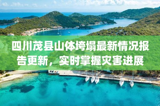 四川茂县山体垮塌最新情况报告更新，实时掌握灾害进展