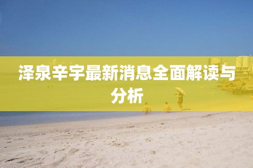 泽泉辛宇最新消息全面解读与分析