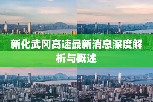 新化武冈高速最新消息深度解析与概述