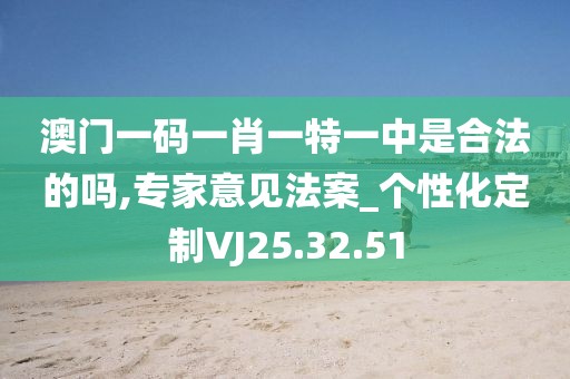 澳门一码一肖一特一中是合法的吗,专家意见法案_个性化定制VJ25.32.51